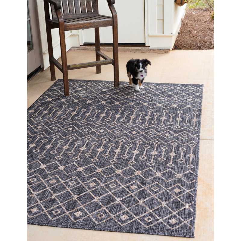 Gracie Oaks Leyla Southwestern Charcoal Indoor/Outdoor Area Rug